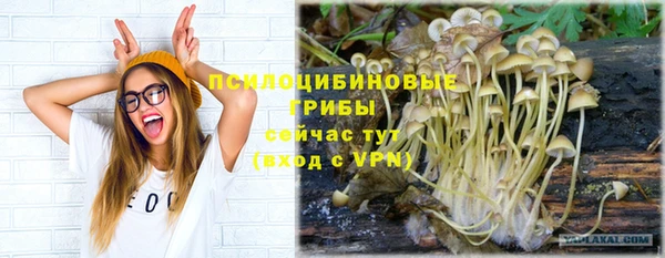 соль ск Наволоки