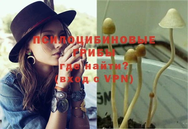 ГАЛЛЮЦИНОГЕННЫЕ ГРИБЫ Надым