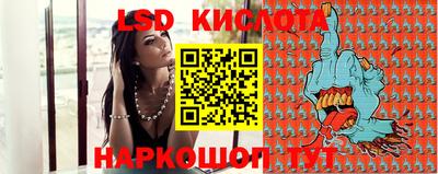 спиды Гатчина