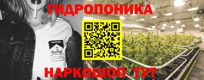 дживик Гай