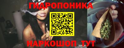 дживик Гай