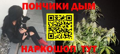 спиды Гатчина