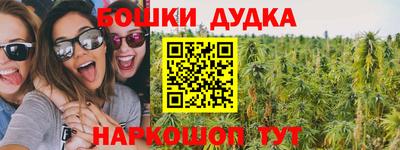 спиды Гатчина
