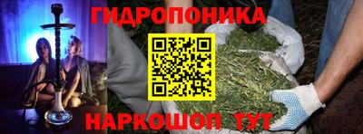 дживик Гай