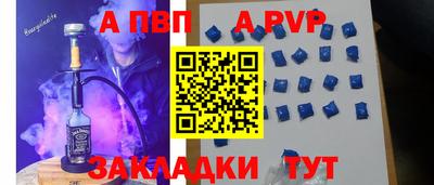 спиды Гатчина