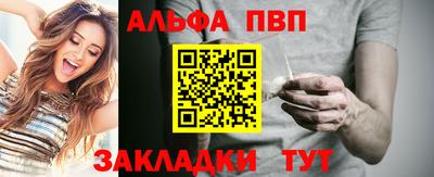 спиды Гатчина