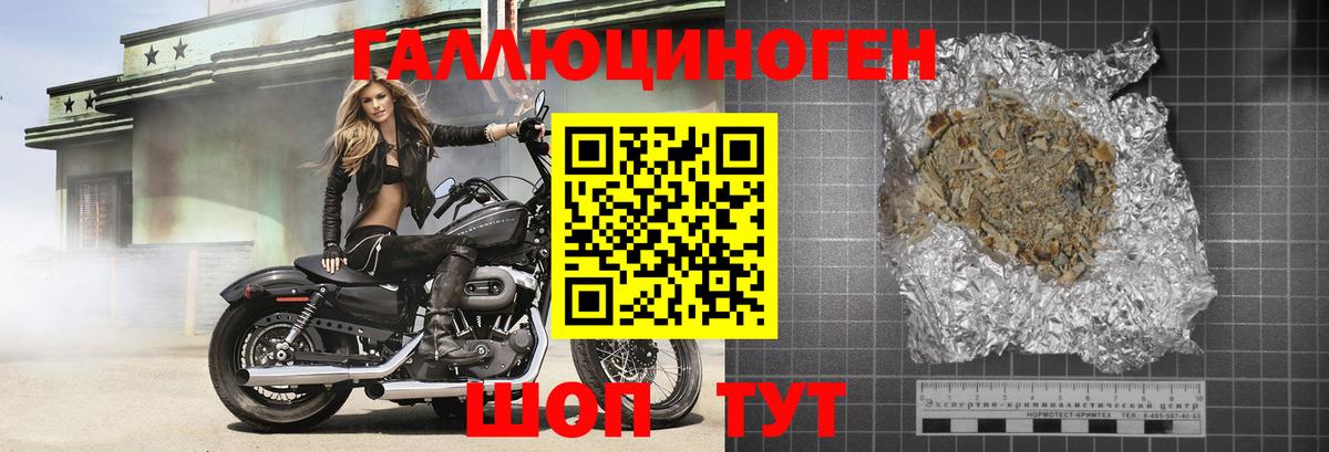 Псилоцибиновые грибы ЛСД  Псилоцибиновые грибы ЛСД  купить закладку  Железногорск 