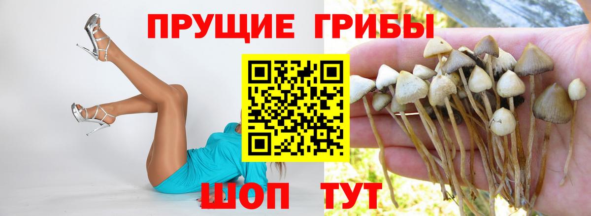 Железногорск  Галлюциногенные грибы Magic Shrooms  Вход с VPN 